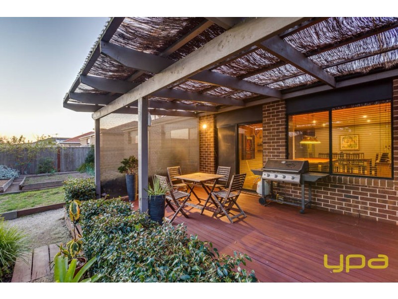 19 Swordgrass Avenue, Tarneit VIC 3029