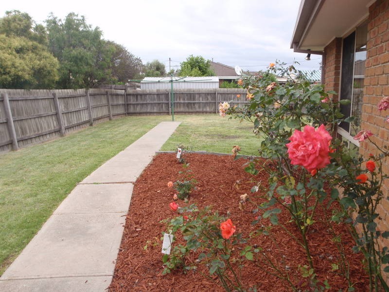 60 Maple Crescent, Hoppers Crossing VIC 3029