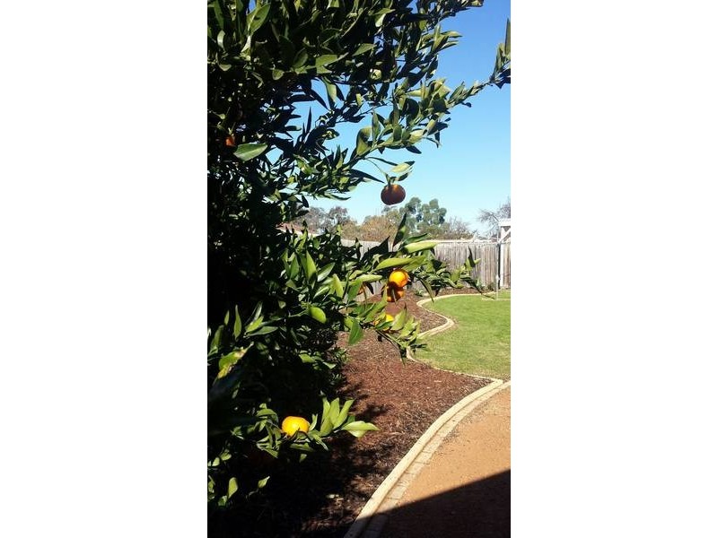 9 Blackwood Court, Werribee VIC 3030