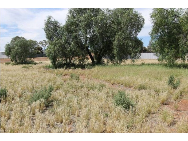 35  Bayley Street, Coolgardie WA 6429