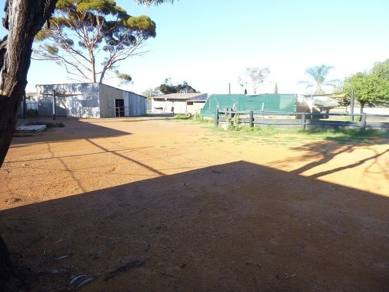 58 Lady Loch Road, Coolgardie WA 6429