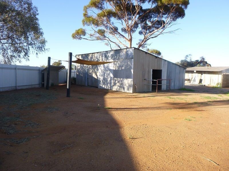 58 Lady Loch Road, Coolgardie WA 6429
