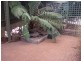94 Franklin Road, Orange NSW 2800
