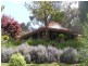 172 Griffin Road, Orange NSW 2800