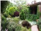 13 Benview Avenue, Orange NSW 2800