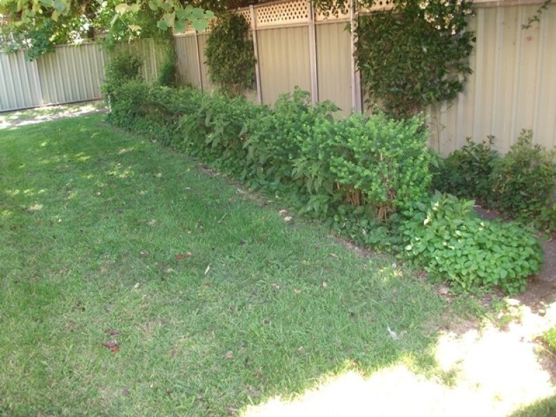 3/222 Dalton Street, Orange NSW 2800