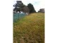 35 Worboys, Spring Hill NSW 2800