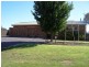115 Molong Road, Orange NSW 2800