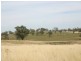 “Mundawora Cudal Road, Cudal NSW 2864