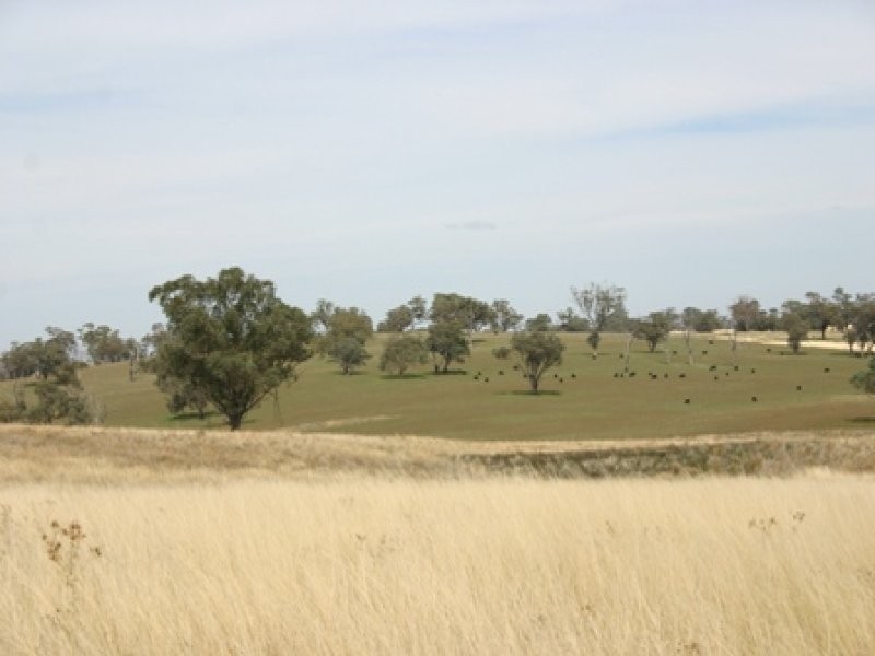 “Mundawora Cudal Road, Cudal NSW 2864