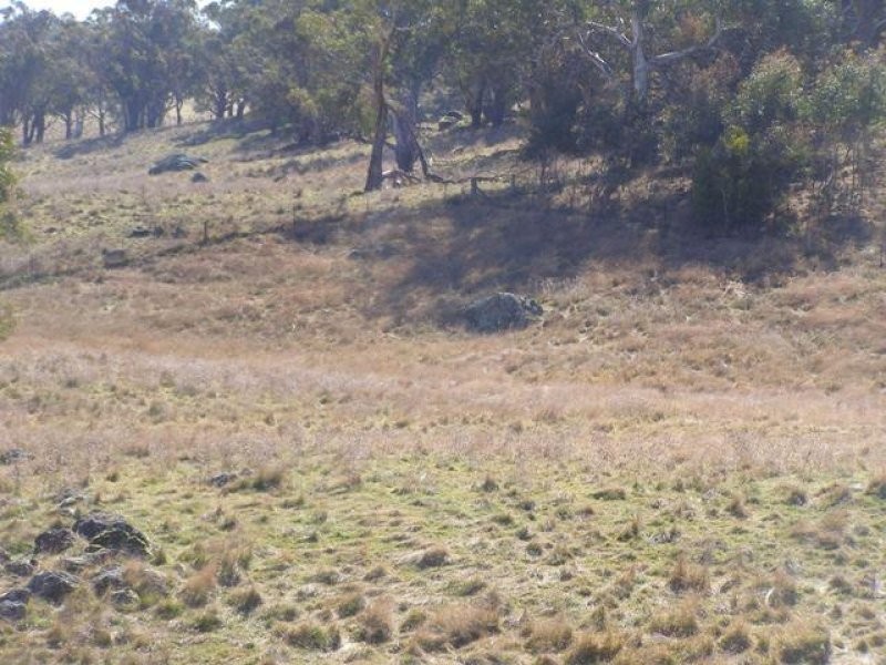 27 Emu Swamp Road, Lucknow NSW 2800