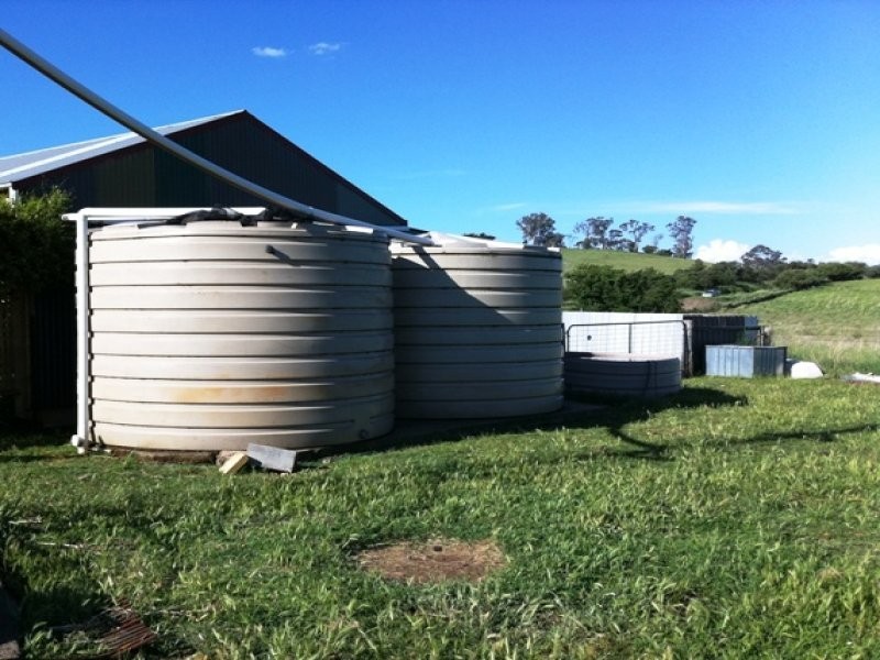 121 Long Swamp Road, Forest Reefs NSW 2798