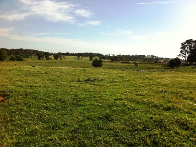 121 Long Swamp Road, Forest Reefs NSW 2798