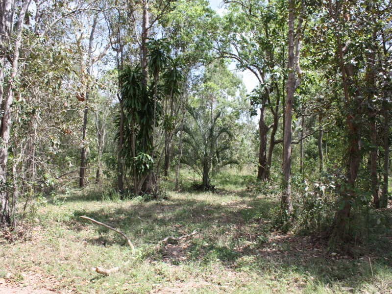 353 Bluewater Drive, Bluewater QLD 4818