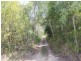 249 Hencamp Creek Road, Rollingstone QLD 4816