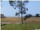 31 Howitson Drive, Balgal Beach QLD 4816