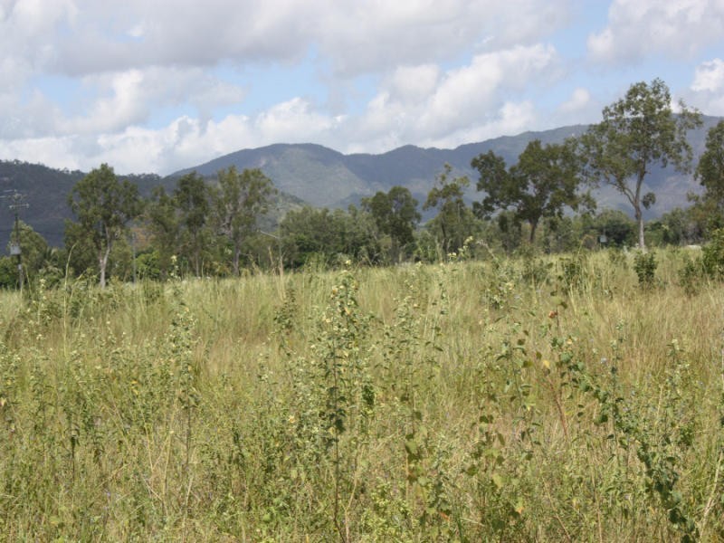 Lot 11 Lot 11 Mawson Street, Bluewater QLD 4818