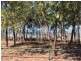 5 Esplanade, Balgal Beach QLD 4816