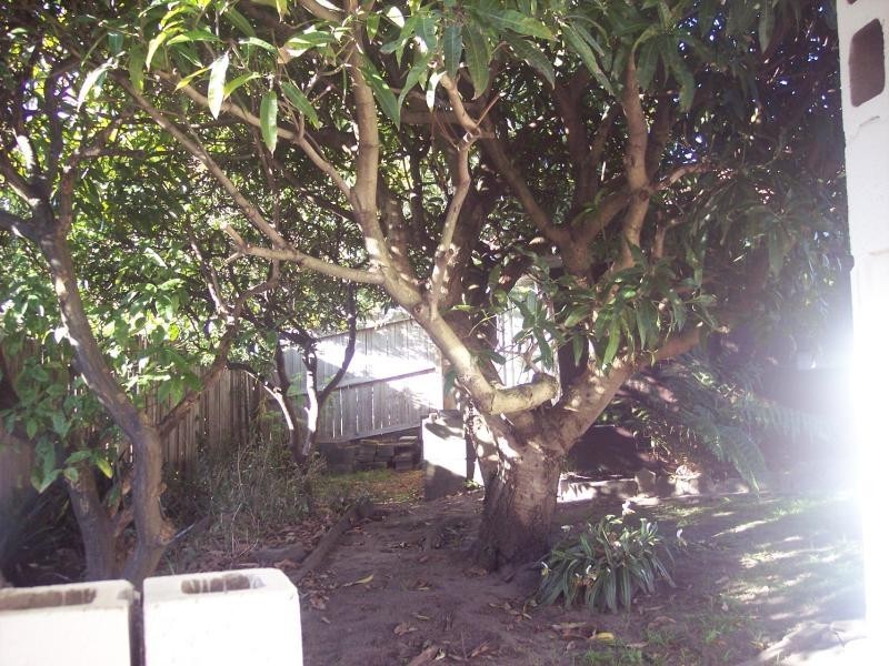 38 Ercildoune Ave, Beverley Park NSW 2217