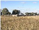 424 Lavelle Road, Millmerran QLD 4357