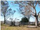 79 Ehrlich Rd Linthorpe, Pittsworth QLD 4356