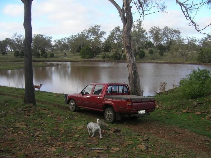 79 Ehrlich Rd Linthorpe, Pittsworth QLD 4356