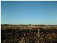 0 Adams Lane, Southbrook QLD 4363