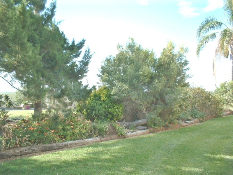 142 Pampas Road, Pittsworth QLD 4356