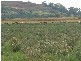 Kincora QLD 4356