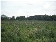 Kincora QLD 4356
