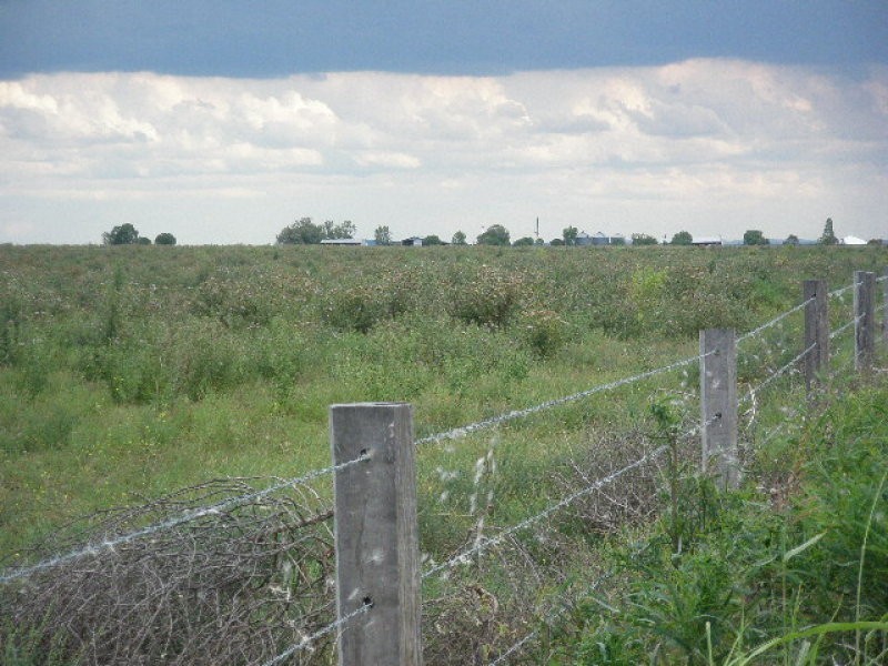 Kincora QLD 4356