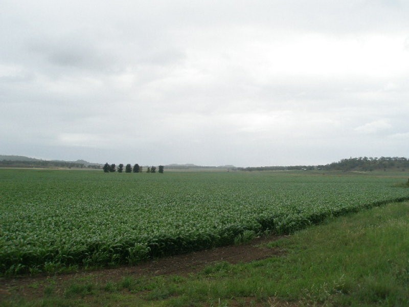 0 Oakey Road, Pittsworth QLD 4356