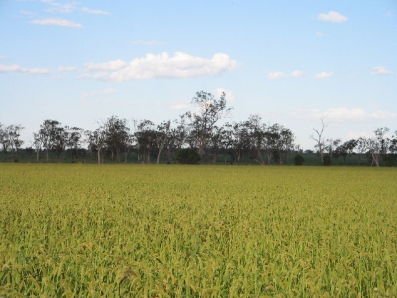 0 Mann Silo Road, Pittsworth QLD 4356