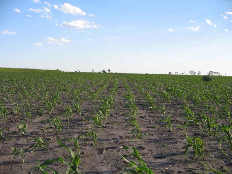 0 Mann Silo Road, Pittsworth QLD 4356