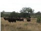681 Stoneleigh Road, Pittsworth QLD 4356