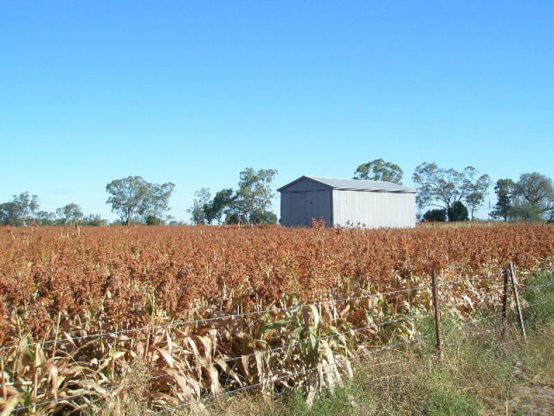 Blacksoil 1270 Mann Silo Rd, Pittsworth QLD 4356