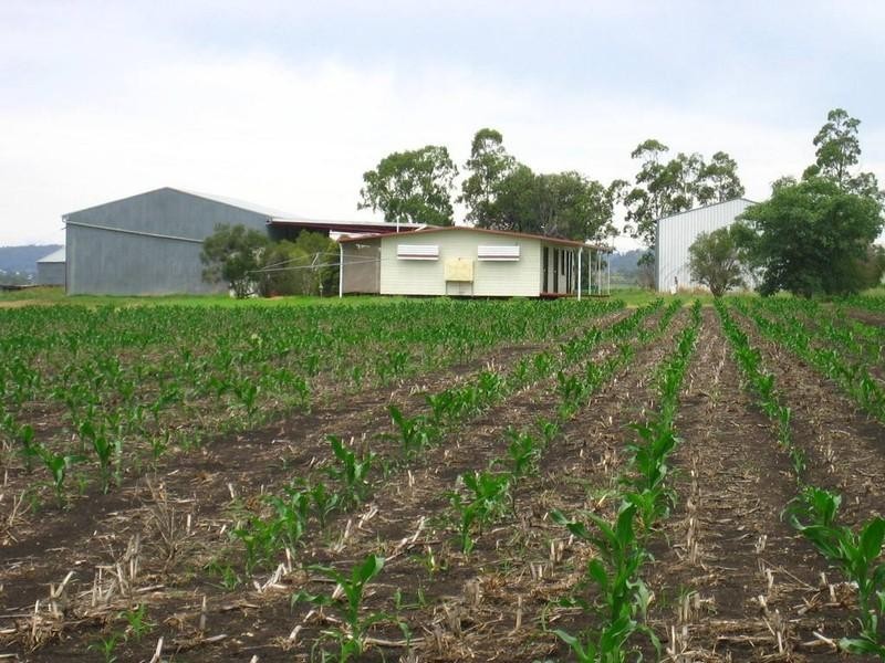 110 ROBSON ROAD, Kingsthorpe QLD 4400