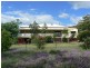 1102 Stoneleigh Road, Pittsworth QLD 4356
