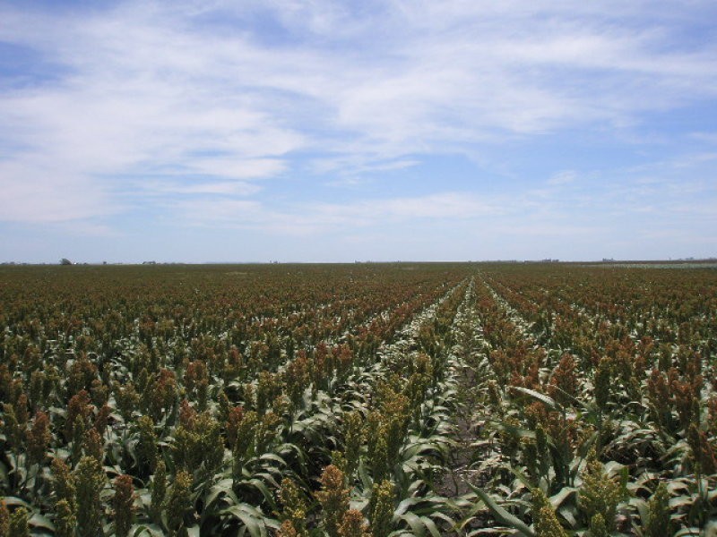 0 F Kents Road, Bongeen QLD 4356