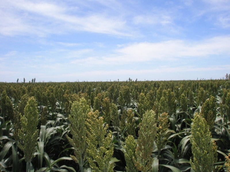 0 F Kents Road, Bongeen QLD 4356