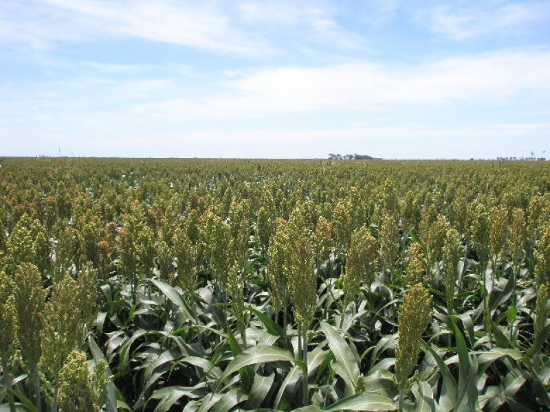 0 F Kents Road, Bongeen QLD 4356