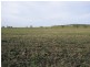 0 Pittsworth Nobby Rd, Nobby QLD 4360