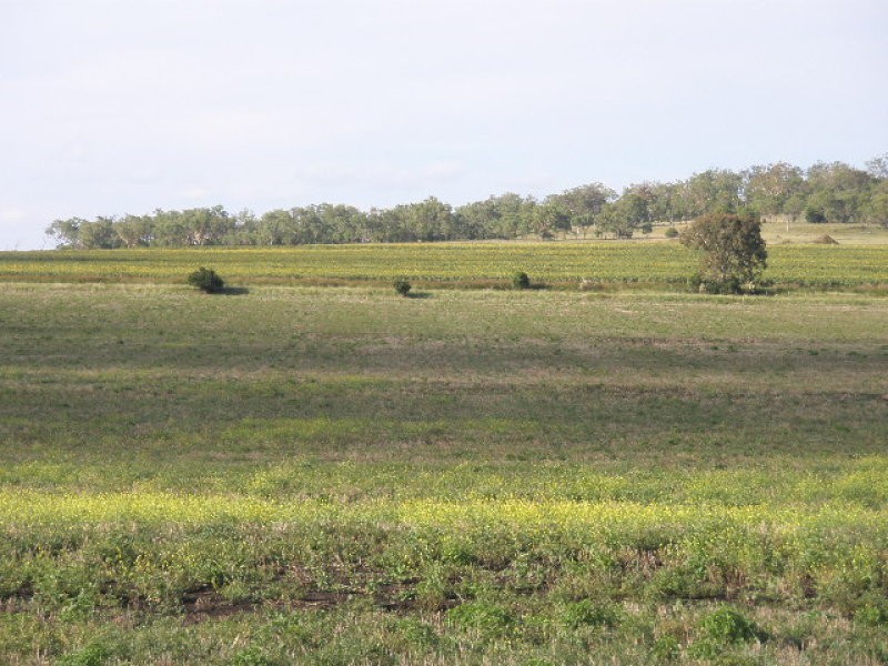 0 Pittsworth Nobby Rd, Nobby QLD 4360