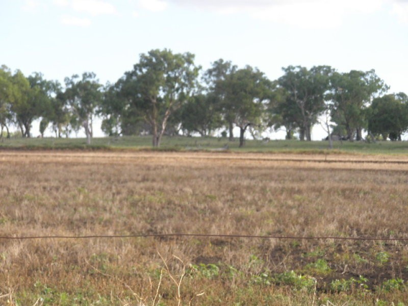 0 Pittsworth Nobby Rd, Nobby QLD 4360