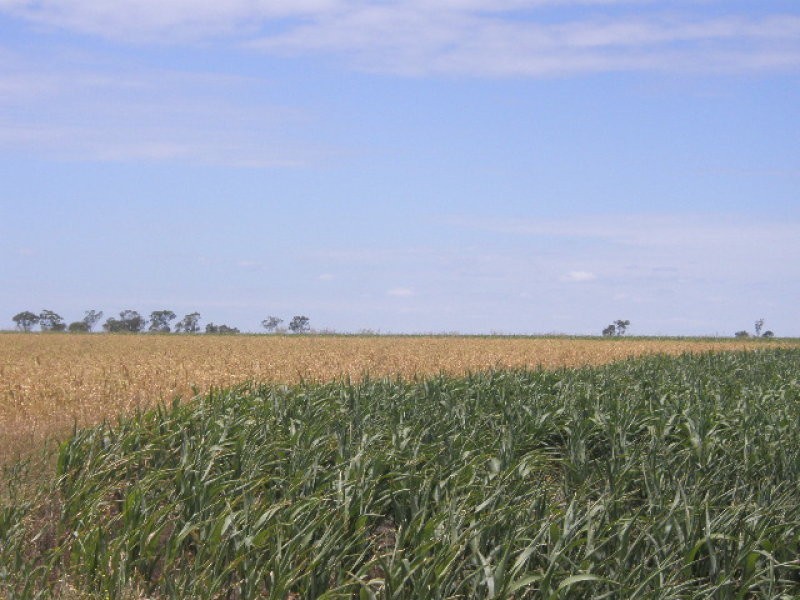 0 Mann Silo Road Brookstead, Pittsworth QLD 4356