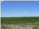 0 Mann Silo Road Brookstead, Pittsworth QLD 4356