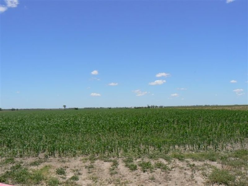 0 Mann Silo Road Brookstead, Pittsworth QLD 4356