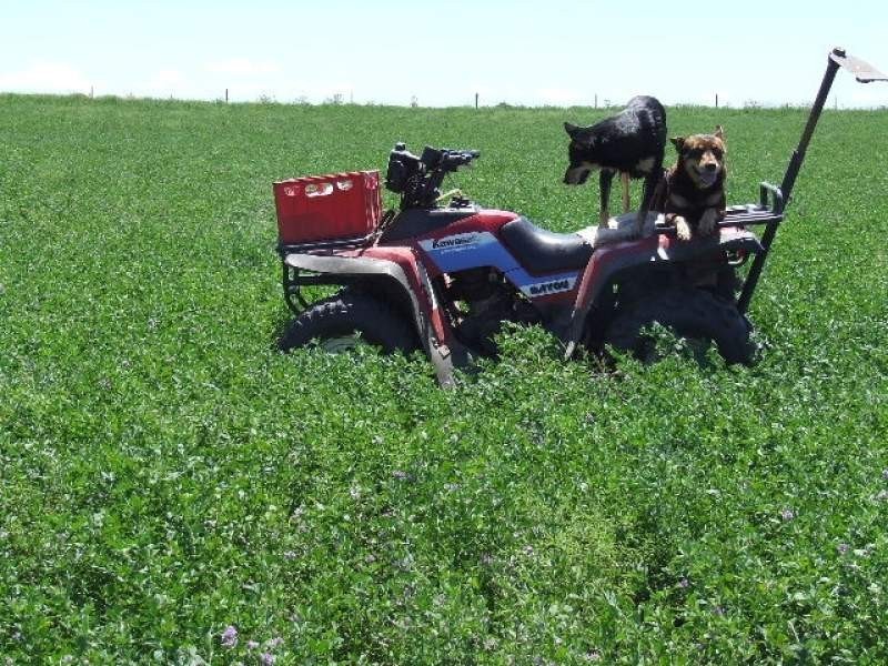 85 Lavelle Road, Millmerran QLD 4357