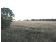L5 Linthorpe Road, Pittsworth QLD 4356
