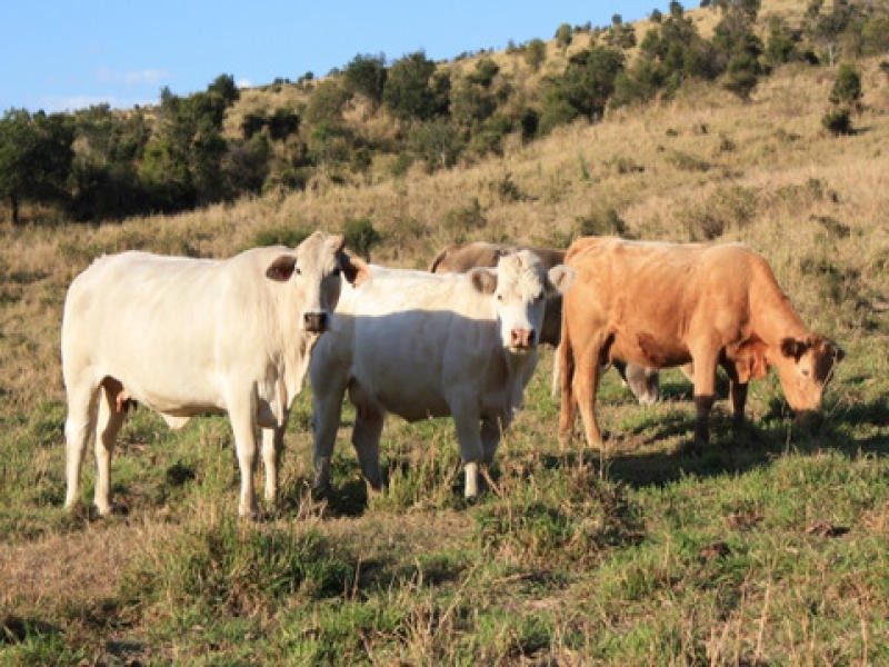 0 Derrymore Road, Toowoomba QLD 4350